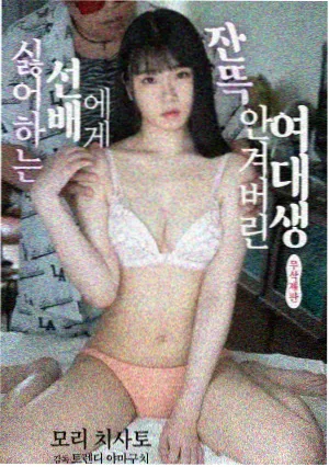 新兰剧场版三层片单更新